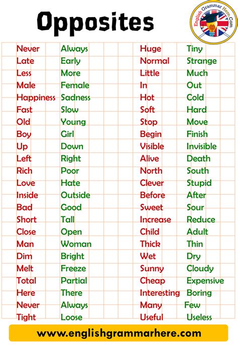 born opposite word|opposite of born meaning.